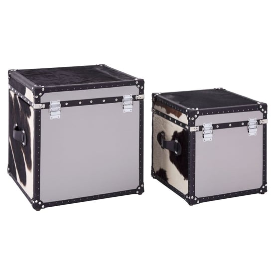 Kensick Wooden Set Of 2 Storage Trunks In Black And White
