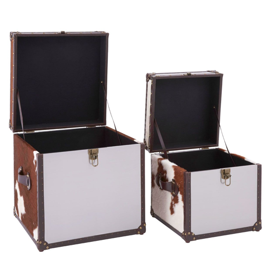 Kensick Wooden Set Of 2 Storage Trunks In Brown And White