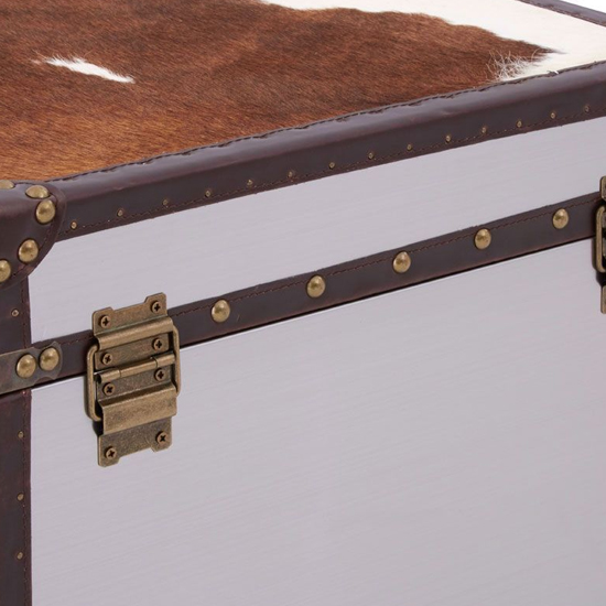 Kensick Wooden Set Of 2 Storage Trunks In Brown And White