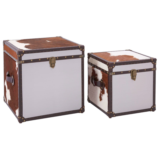 Read more about Kensick wooden set of 2 storage trunks in brown and white