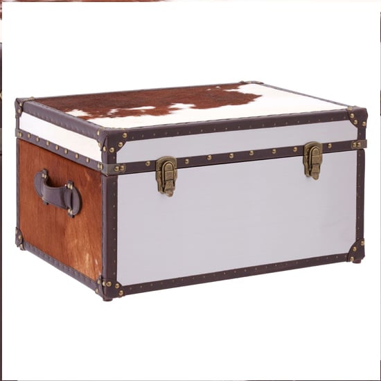 Kensick Wooden Storage Trunk In Brown And White