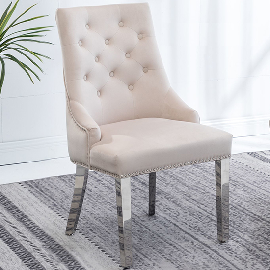 Kepro Knocker Back Velvet Dining Chair In Cream