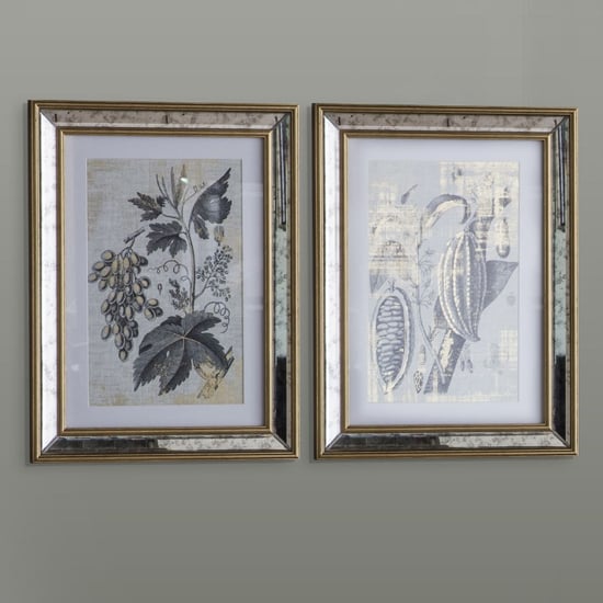 Kotzebue Botanical Studies Set of 2 Wall Art In Gold And Grey_1