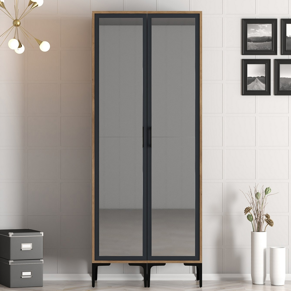 Kumsal Mirrored Wardrobe with 2 Doors in Anthracite and Walnut