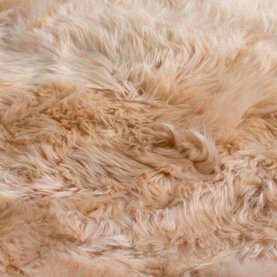 Ladson Sheepskin Rug In Beige