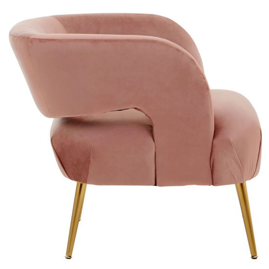 Larrisa Velvet Lounge Chair With Gold Metal Legs In Pink