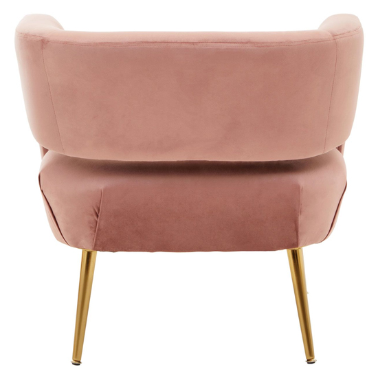 Larrisa Velvet Lounge Chair With Gold Metal Legs In Pink