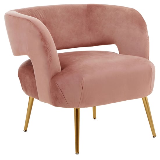 Larrisa Velvet Lounge Chair With Gold Metal Legs In Pink_1