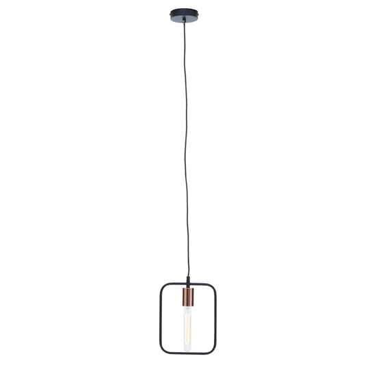 Photo of Lavish iron 1 pendant light in black and copper