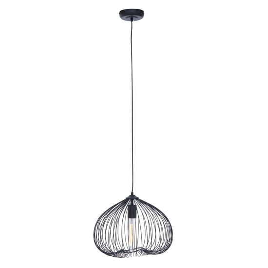 Product photograph of Lavish Iron 1 Pendant Light In Black from Furniture in Fashion