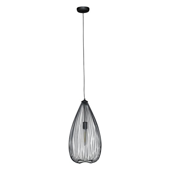 Lavish Iron Teardrop Pendant Light In Black