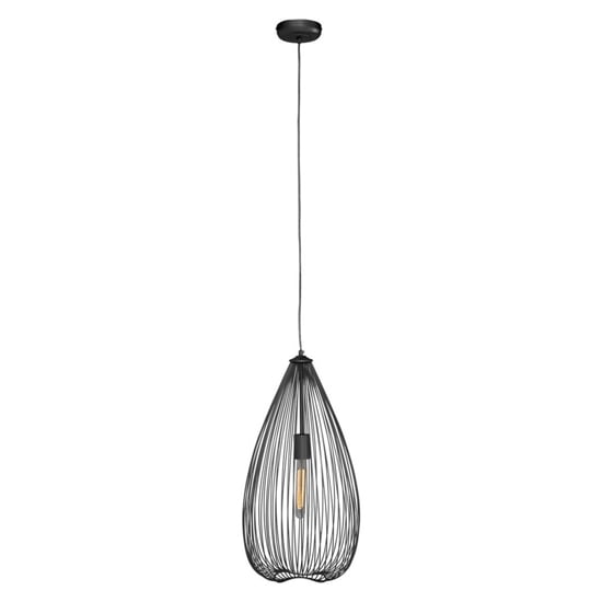 Photo of Lavish iron teardrop pendant light in black