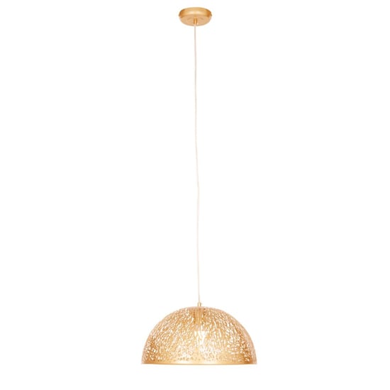 Photo of Lennon dome shaped iron pendant light in gold