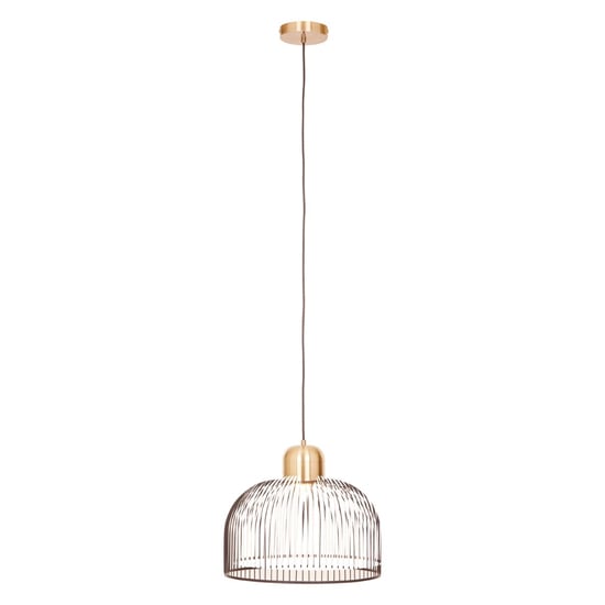 Read more about Lennon iron pendant light in black and antique brass