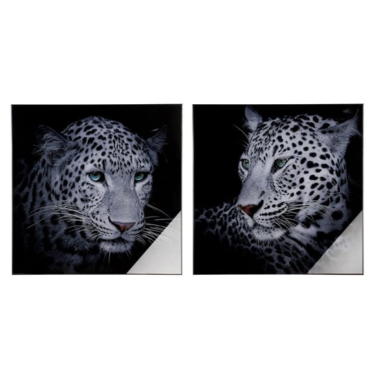 Photo of Leo picture set of 2 acrylic wall art in black and grey