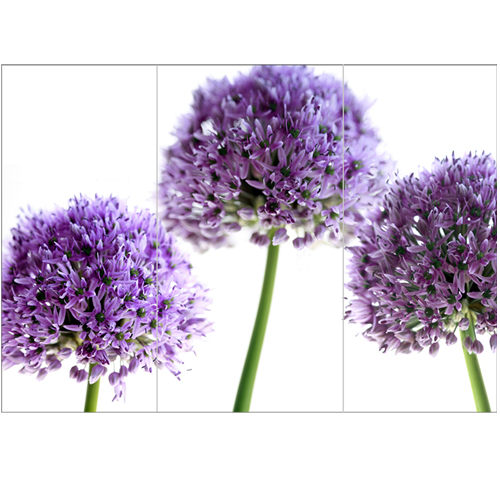 lilacalliums - Inspirational Wall Art For Office, Enhance The Look