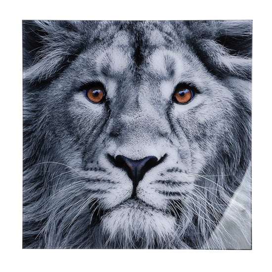 Lion Head Picture Acrylic Wall Art In Black And White