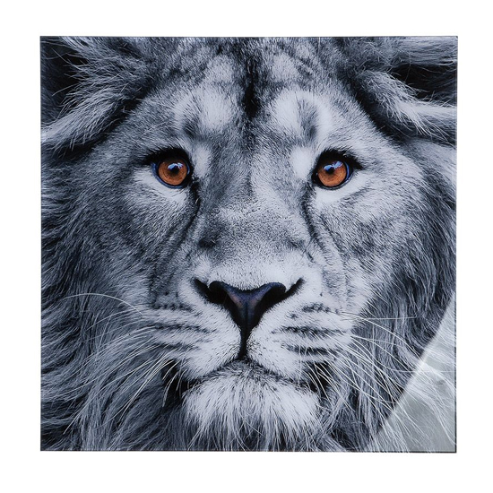 Product photograph of Lion Head Picture Acrylic Wall Art In Black And White from Furniture in Fashion