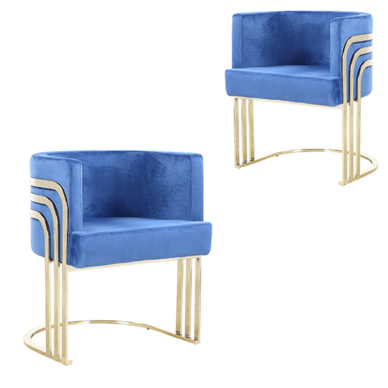 Blue Velvet Gold Chairs Fran Gold Metal And Blue Velvet Dining Chairs