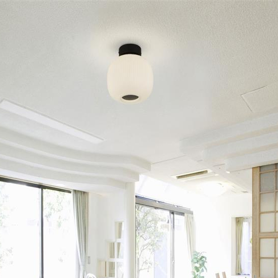 Photo of Lumina ribbed glass flush ceiling light in white and black