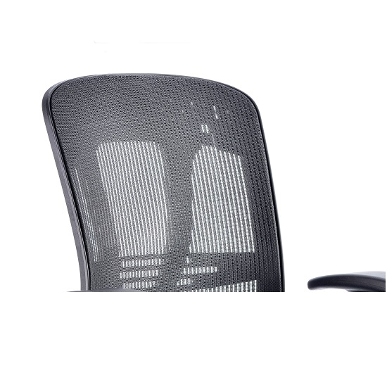 Lydock Mesh Executive Chair In Black With Adjustable Arms_6