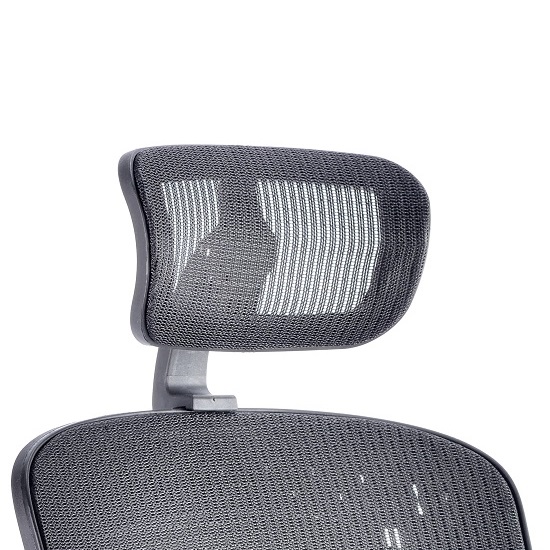 Lydock Mesh Executive Chair In Black With Headrest