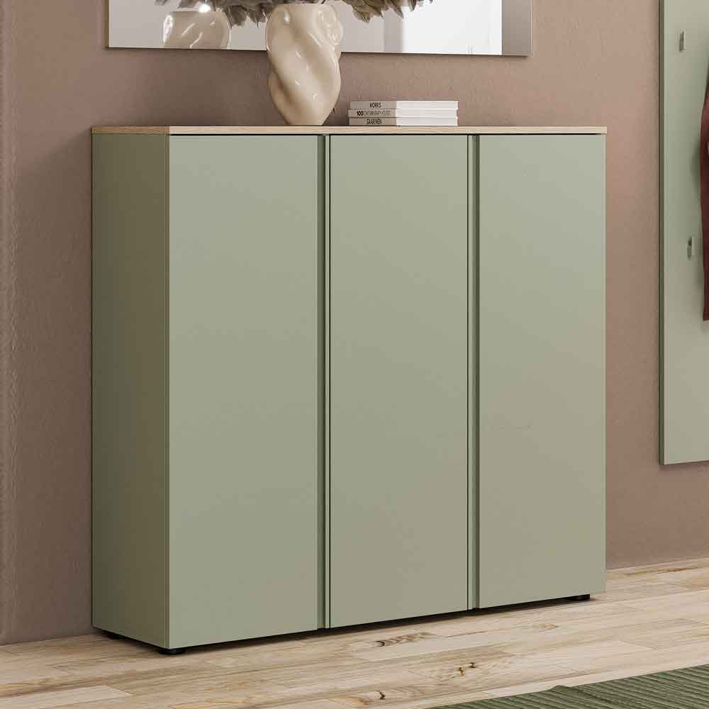 Malvern Wooden Shoe Storage Cabinet with 3 Doors in Sage Green