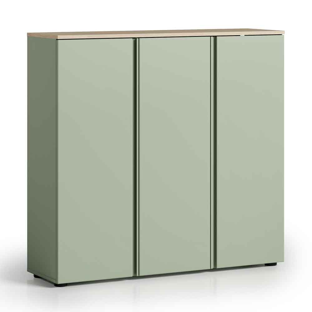 Malvern Wooden Shoe Storage Cabinet with 3 Doors in Sage Green