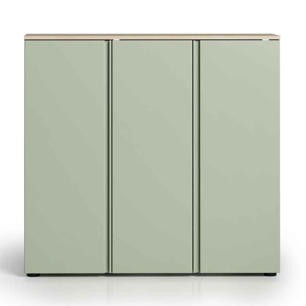 Malvern Wooden Shoe Storage Cabinet with 3 Doors in Sage Green