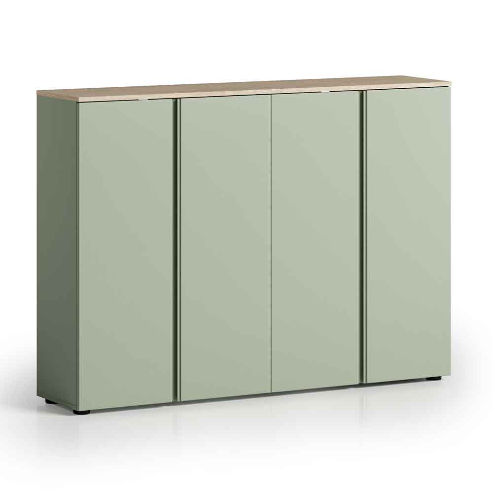 Malvern Wooden Shoe Storage Cabinet with 4 Doors in Sage Green