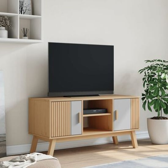 Marlow Wooden TV Stand With 2 Doors In Gray and Brown