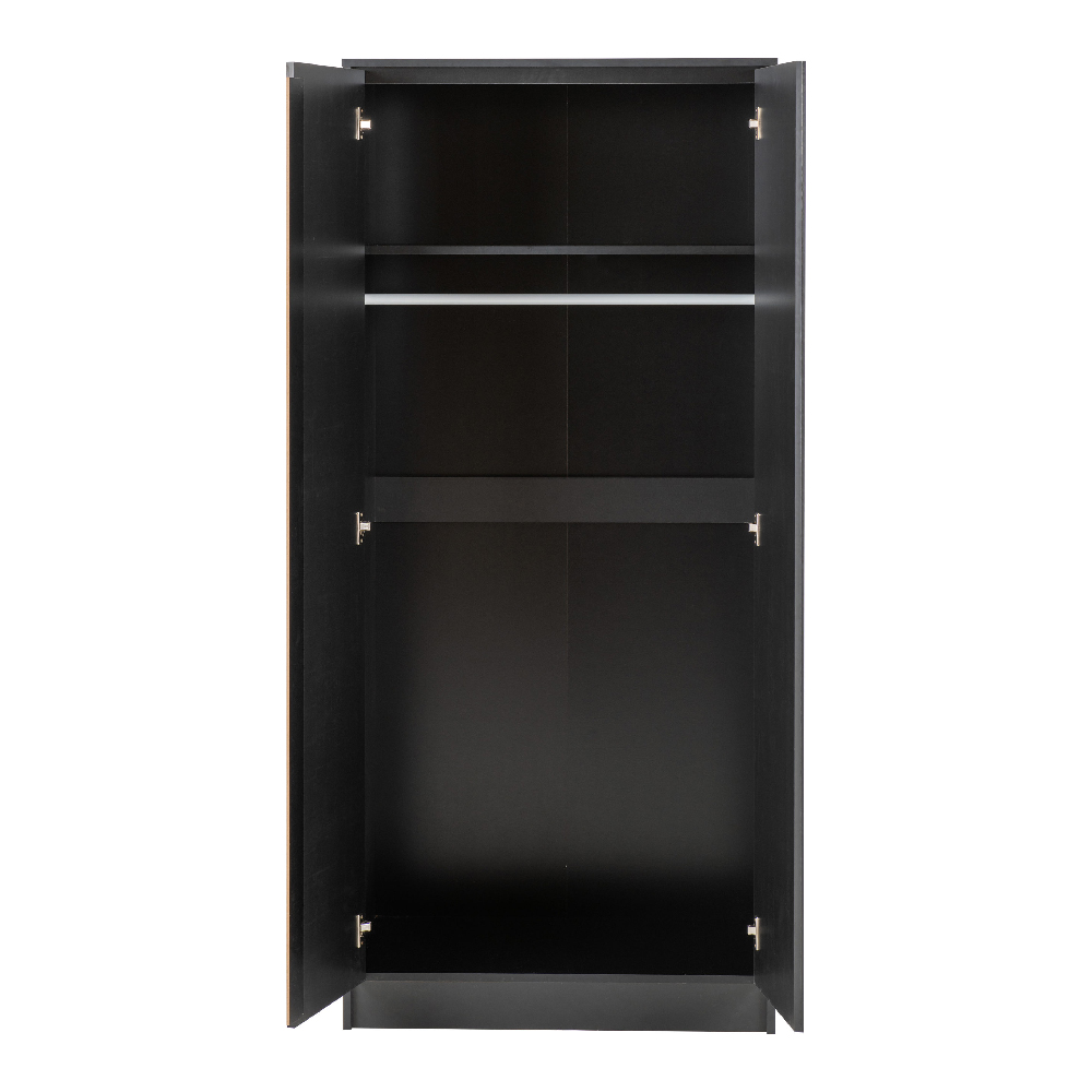 Mcgowen Wooden Wardrobe With 2 Doors In Black