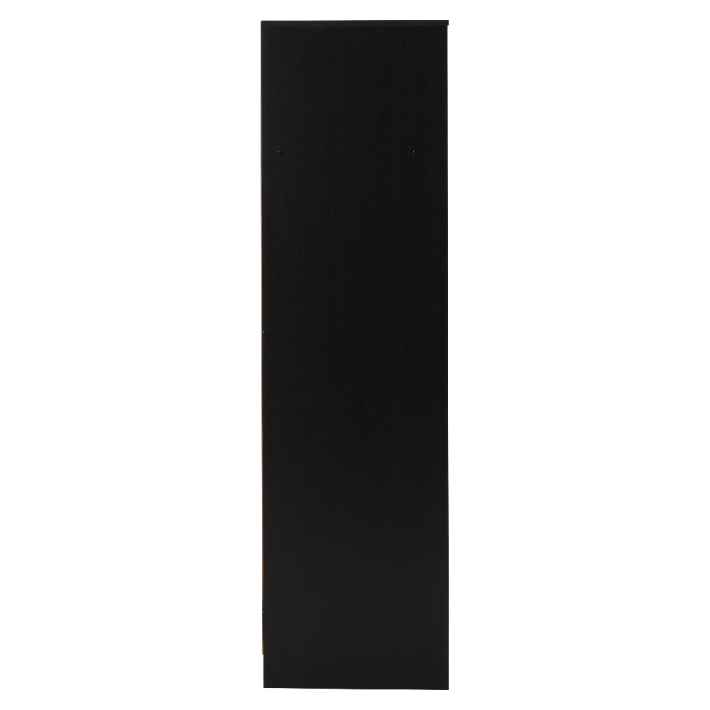 Mcgowen Wooden Wardrobe With 2 Doors In Black