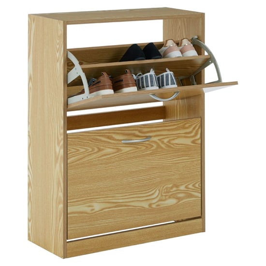 Megrez Wooden Shoe Cabinet With 2 Flip Doors In Brown