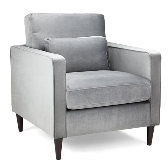 Manichean Plush Velvet Armchair In Grey