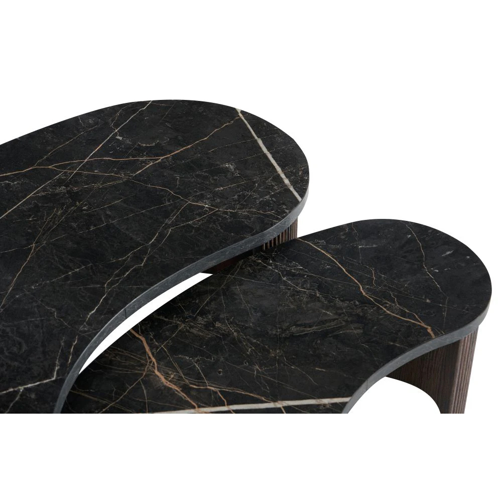 Mezira Wooden Nesting Coffee Table in Black and Walnut