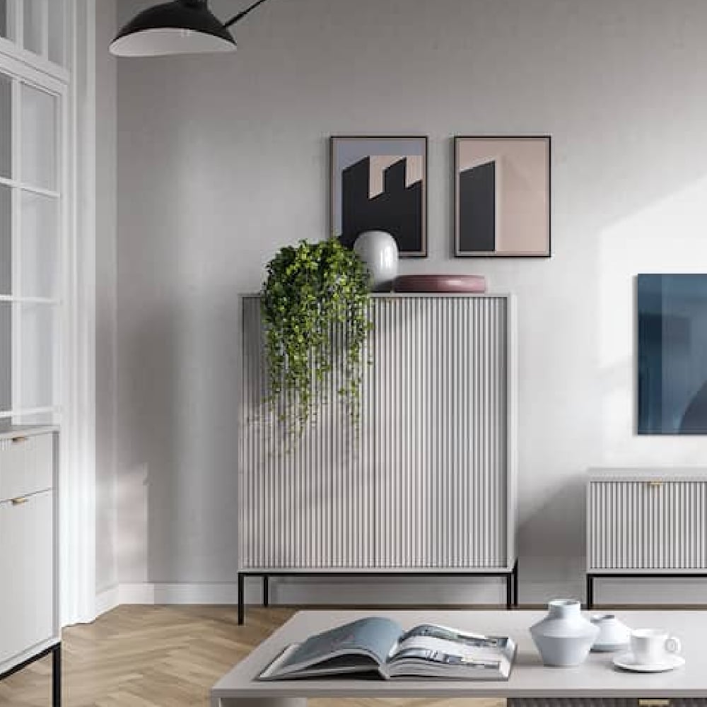 Read more about Napa wooden storage cabinet with 2 doors in matt grey