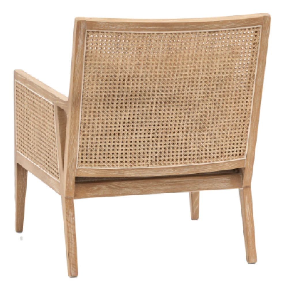 Naperville Rattan Armchair With Cushion In Natural
