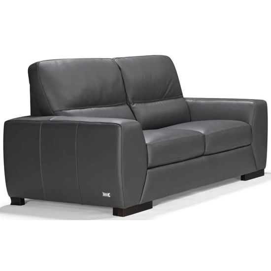 Read more about Natick leather 2 seater sofa in anthracite