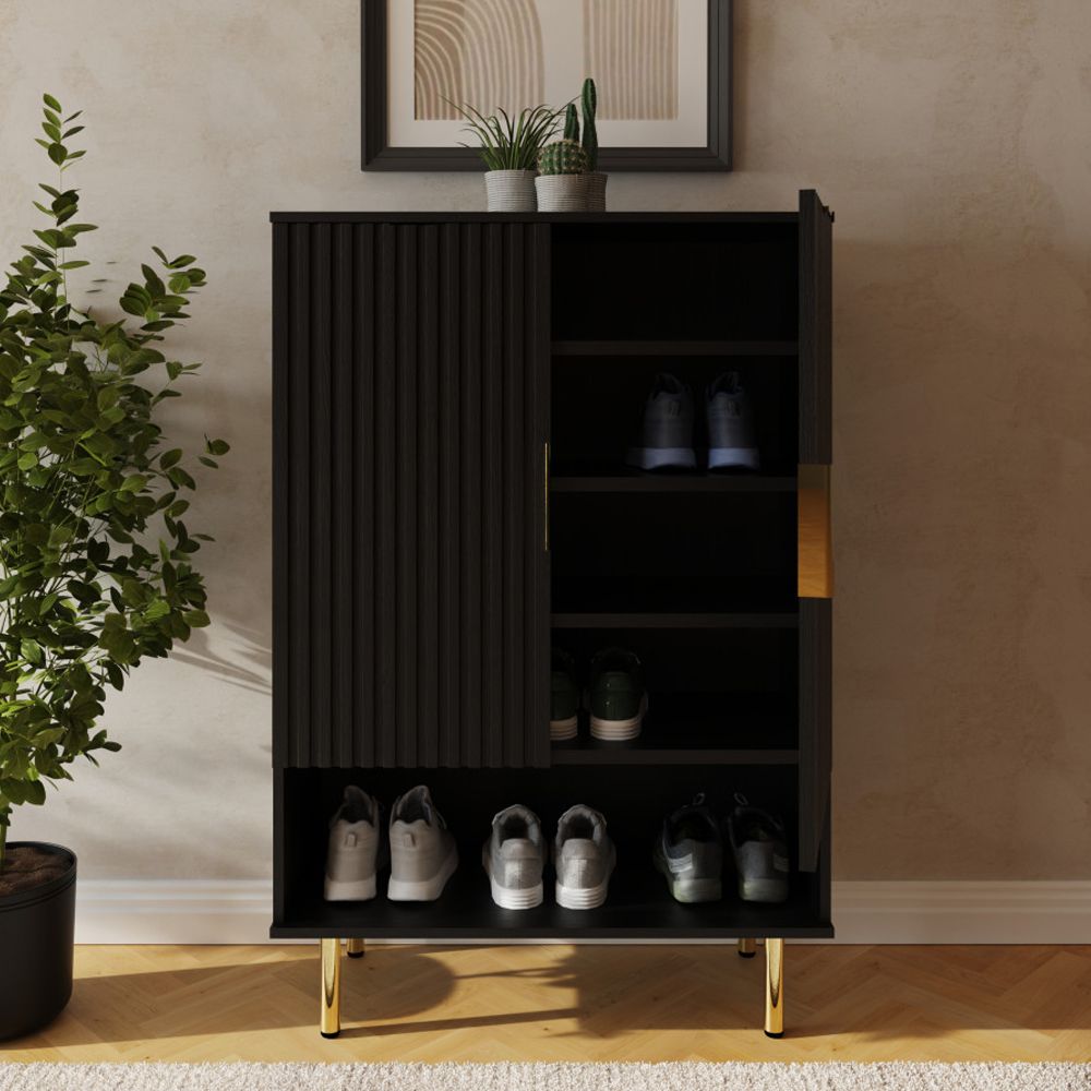 Natick Wooden Shoe Storage Cabinet in Black
