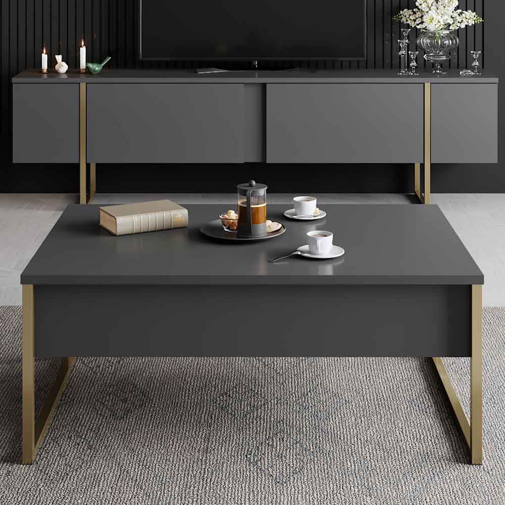 Nordic Wooden Coffee Table with Gold Metal Frame in Anthracite