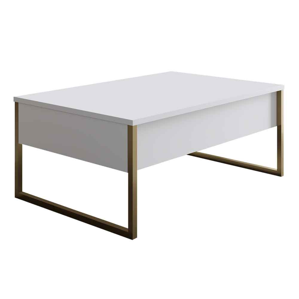 Nordic Wooden Coffee Table with Gold Metal Frame in White