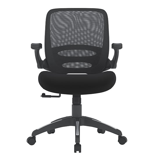 Northop Mesh Fabric Adjustable Home And Office Chair In Black_3