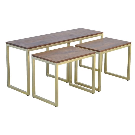 Product photograph of Nutty Wooden Set Of 3 Coffee Tables In With Gold Base from Furniture in Fashion