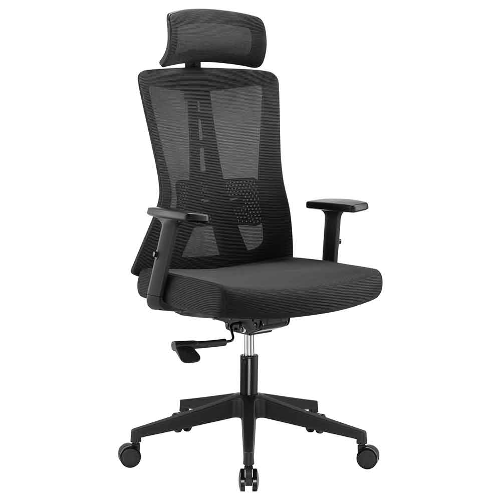 Odenton Fabric Plus Home And Office Chair - Black