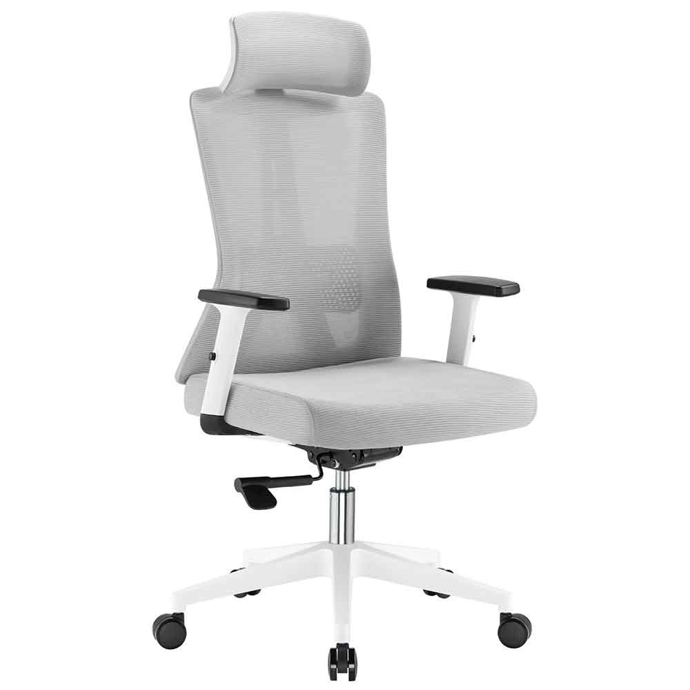 Odenton Fabric Plus Home And Office Chair - Grey