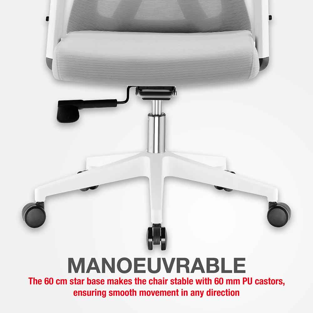 Odenton Fabric Plus Home And Office Chair - Grey