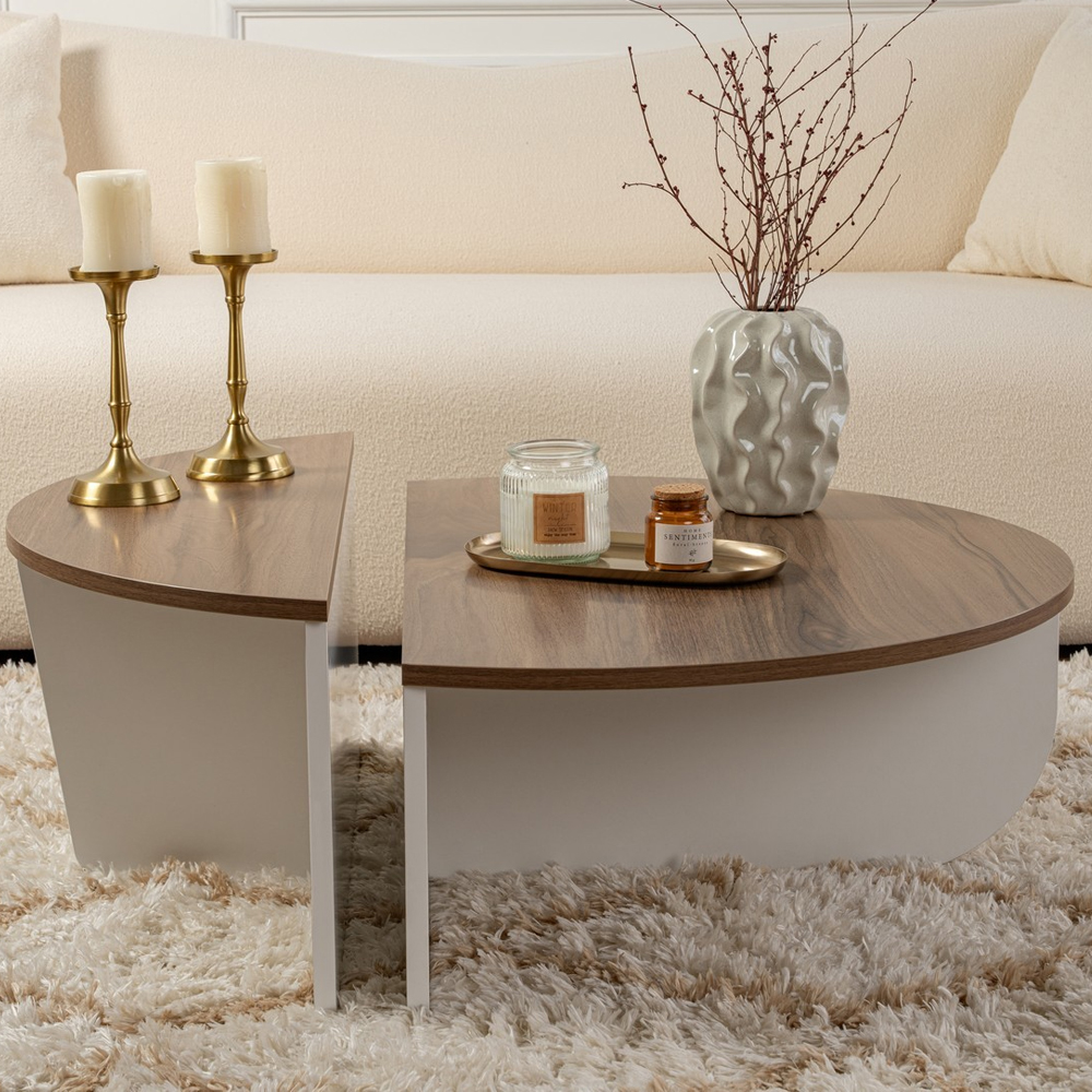 Onelio Oval Wooden Nest Of 2 Coffee Table in Walnut and White