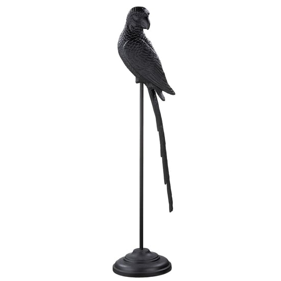 Oro Aluminium Parrot Sculpture Large In Black