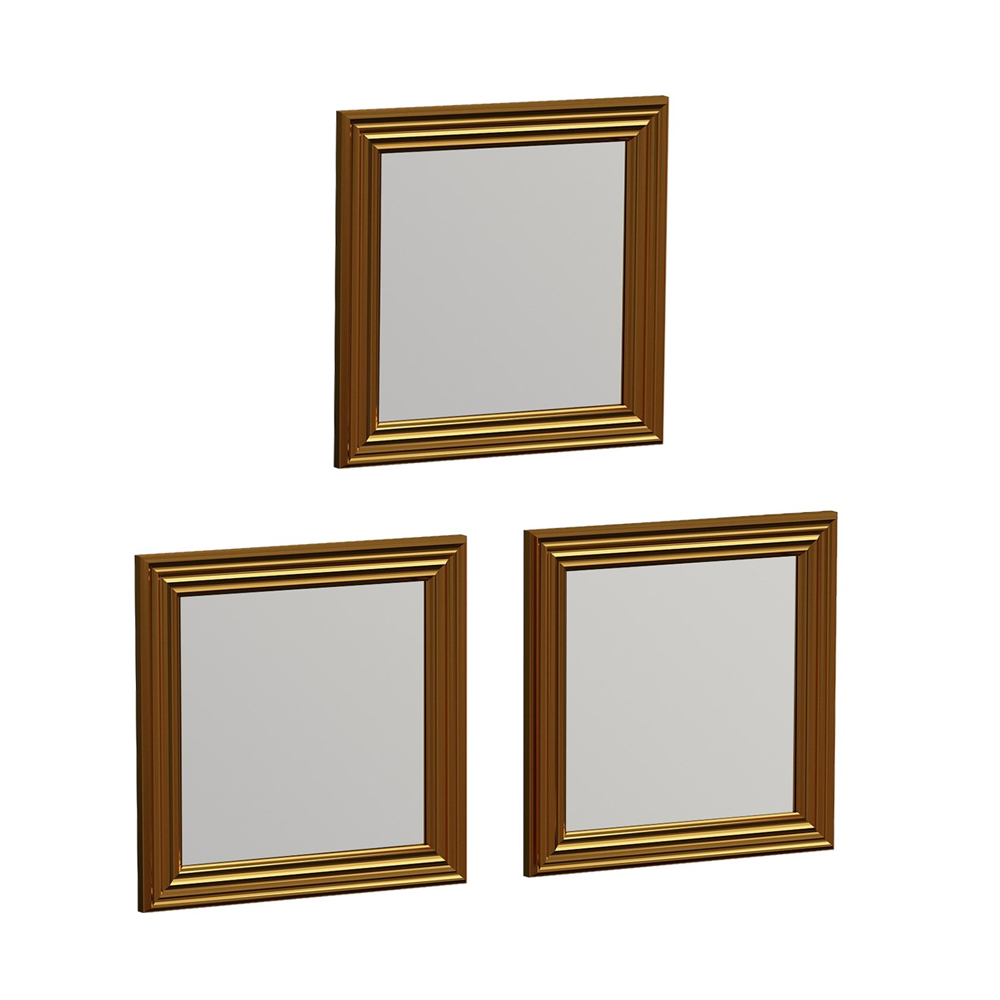 Otto Glass Set of 3 Wall Mirror with Gold Wooden Frame